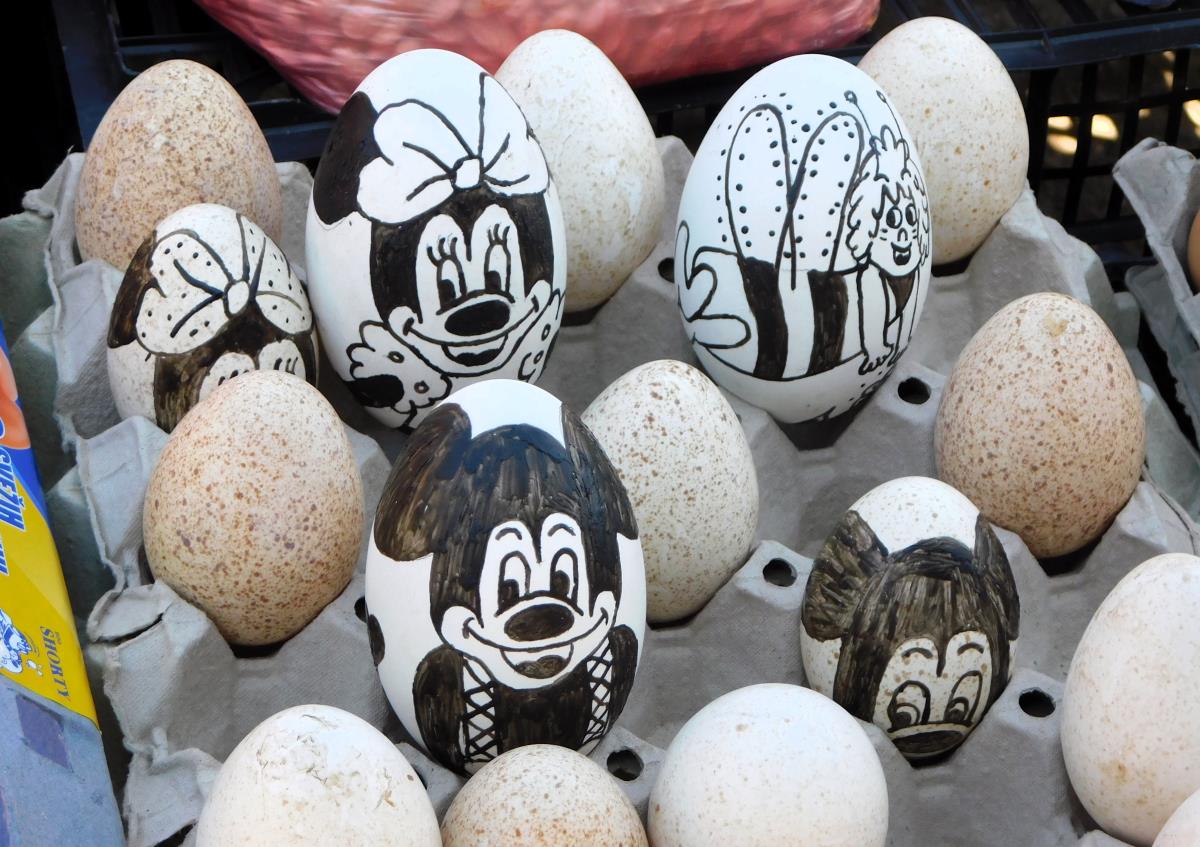 LOZNICA - Miki, Mini i Maja.JPG