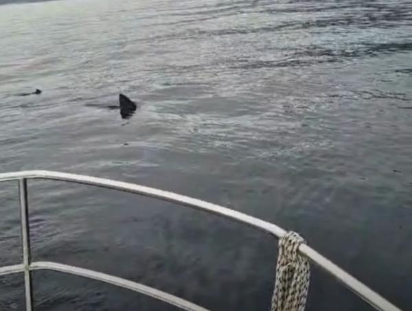 Screenshot 2025-04-14 091011.png