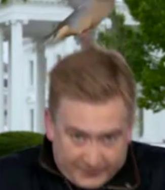 Screenshot 2025-04-14 142902.png