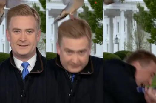 Screenshot 2025-04-14 143017.png