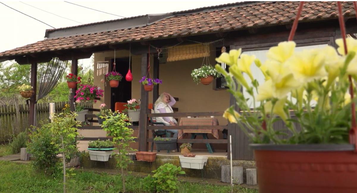 Screenshot 2025-04-17 121006.png