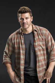 sealboreanaz102i.jpg