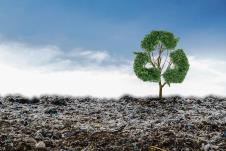 1002-stockphotoconceptrecyclebigalonetreeinthegarbagetreeoflife590698883-a.jpg