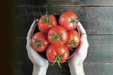 stockphotofreshtomatoesinhandsonawoodenbackgroundharvestingtomatoestopview1167200134.jpg