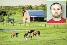 stockphotofarmanimalsgrazinginalushbluebonnetfilledfieldintexas270440660.jpg