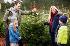 stockphotooutdoorfamilychoosingchristmastreetogether198896936.jpg