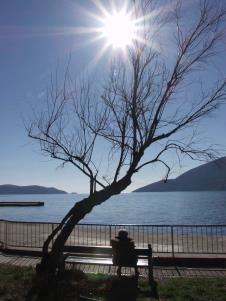 sunce-2.jpg