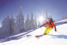 stockphotoskierskiingdownhillinhighmountainsagainstsunshine217200307.jpg