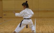 v_karate_15808055834.jpg