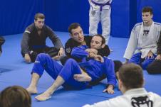 vin-bjj58.jpg