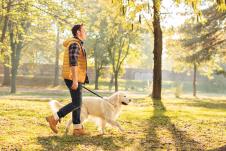 stockphotoprofileshotofayoungguywalkinghisdoginaparkonasunnyautumnday341367500.jpg