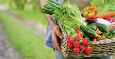 stockphotobasketwithvegetablescabbagecarrotscucumbersradishandpeppersinthehandsofafarmer633563996.jpg