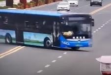 bus.jpg