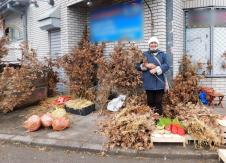 loznica--badnjaci-slama-i-psenica.jpg