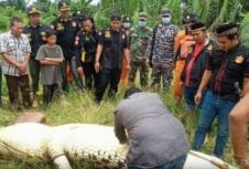 indonezija-decak-krokodil.jpg