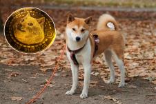 dogecoin.jpg