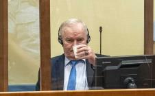 mladic01-epa-jerry-lampen--pool.jpg