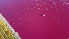 profimedia0623002471-pink-jezero.jpg