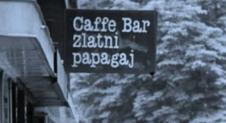 zlatni-papagaj-yt-pt.jpg