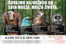 telekom-glavna.jpg