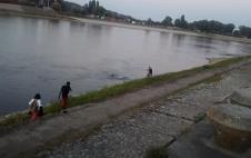 drava.jpg