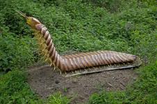 stonoga-arthropleura.jpg