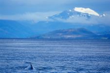 cile-patagonija.jpg