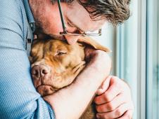 ljubav-i-paznja-ce-mu-svakako-olaksati-bol-stockphotohandsomemanhuggingacharmingpuppycloseupindoorsstudiophotowhitecolorconceptof1750981355.jpg