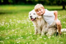 stockphotohappyboyanddogtogetherasfriendsasloveofanimalsconcept1013869099.jpg