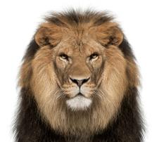 shutterstock-750083320.jpg