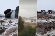 collage2.jpg