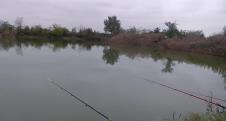 gajicka-bara.jpg