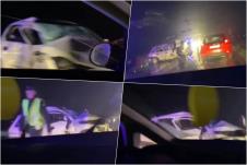 collage.jpg