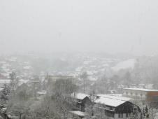 loznica--aprilski-sneg.jpg