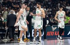 partizanpanathinaikos48169.jpg