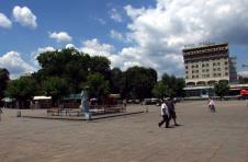 pirot-tanjug.jpg