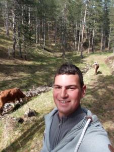 Luka Crepuljarević izveo krave na ispašu