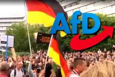 afd.jpg