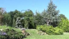 Evo šta je po obrazovanju Kristina Radenković