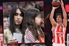 teodosic.jpg