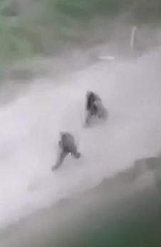 20240514-13-05-074-sky-news-on-x---a-ukrainian-soldier-has-shared-drone-footage-from-inside-vov.jpg