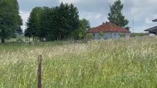 1716980517-sjenicaubistvosnajasvekrvafotorina-2.jpg