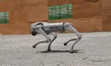 robot.jpg