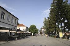 0701-zorana-jevtic-5.jpg