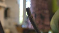 1718616124-gornjimilovaccvecarfotorina-4.jpg