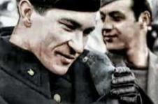 Vjekoslav Maks Luburić