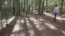 17279597571608137656bajina-basta-jedinstven-rezervat-prirode-tara-fotorina8.jpg