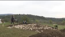 Screenshot 2024-10-20 183458.png