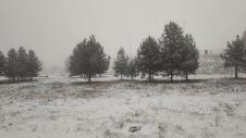 Zlatibor - sneg 2.jpg