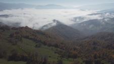 1731579599_alija-balijaligic-kretanje-fotorina_(4).jpg